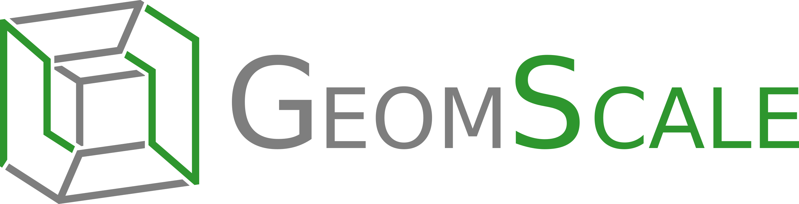 GeomScale cover photo